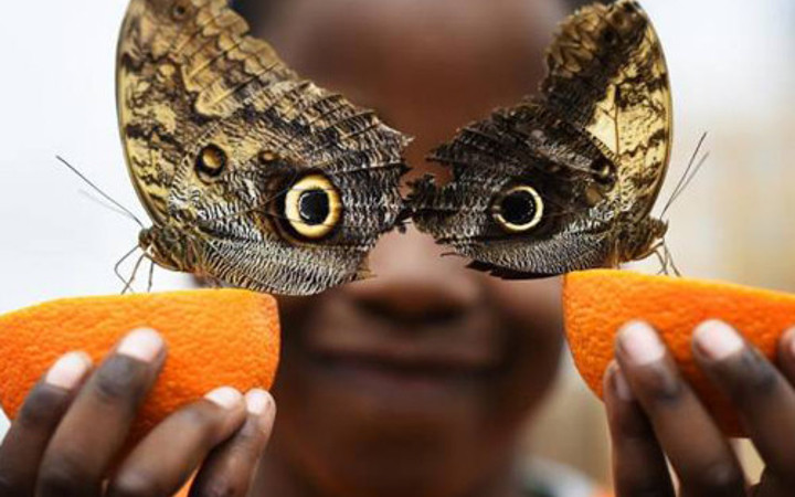 Günün en çılgın 50 fotoğrafı