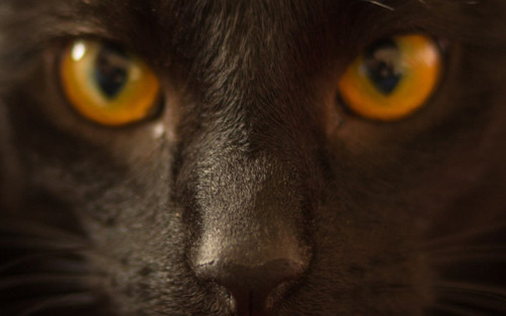 Dünyanın en yaygın batıl inançları