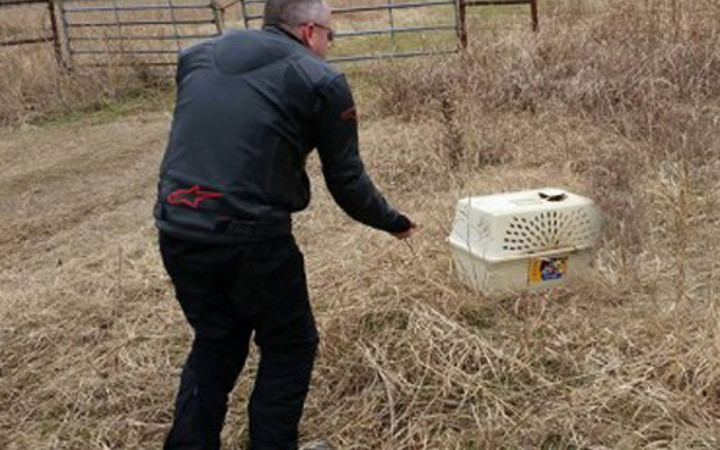 Dağ başına buldukları kutu hayatlarını değiştirdi