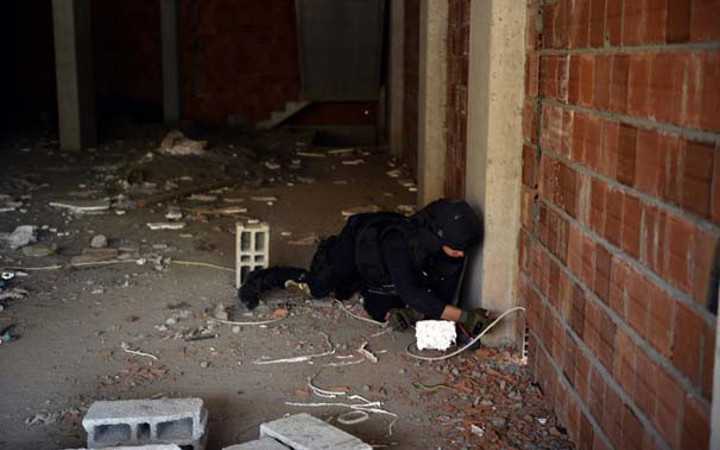 Nusaybin'de yüreklerin ağza geldiği anlar! Usulca yaklaştı ve...