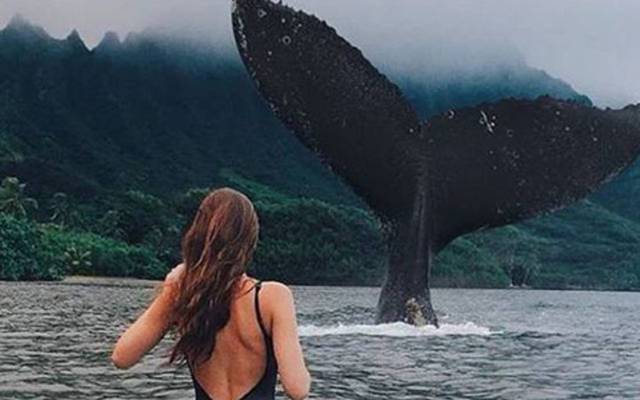 Günün en çok beğenilen 50 fotoğrafı