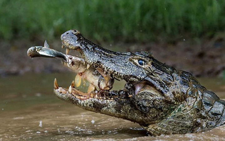 National Geographic yarışması sonuçlandı