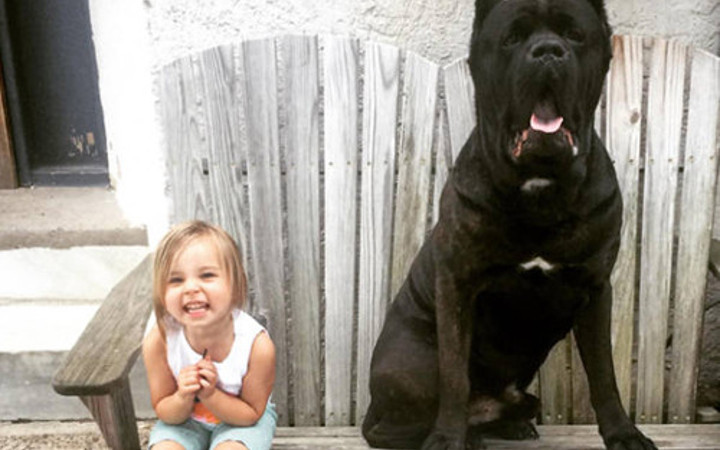 Günün en çılgın 20 fotoğrafı