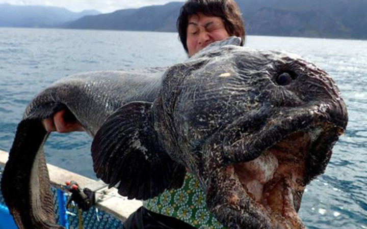 Çılgın balıkçıların tuhaf avları