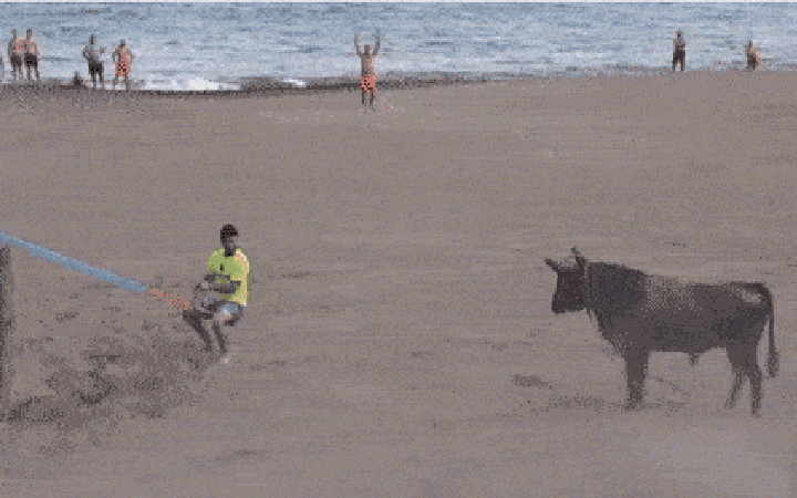 Boğayla tehlikeli oyun!