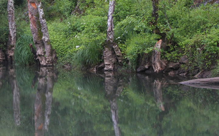 İstanbul'un yanı başında 'sakin cennet'