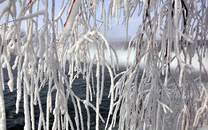 Ağaçlar resmen buz tuttu! İlginç manzaralar