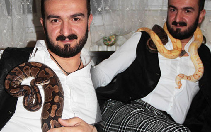 Yılandan korkuyor ama bakın ne yapıyor garip olay