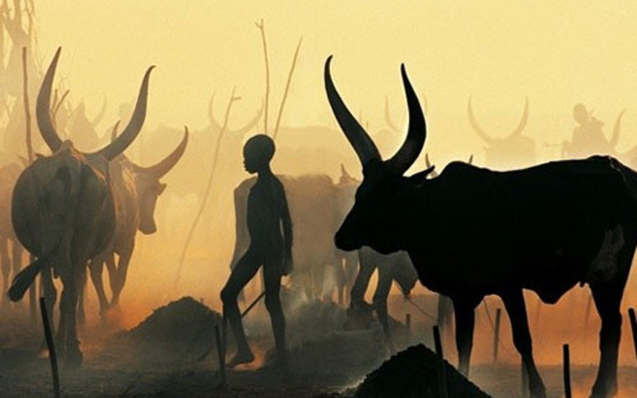 İnek idrarıyla yaptıklarına bakın onların...