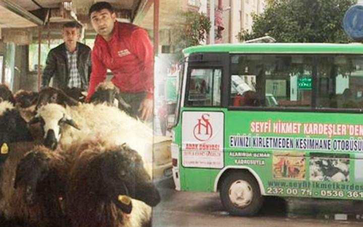 Adana'lı girişimci otobüsü hem kesimhane hem ahır yaptı