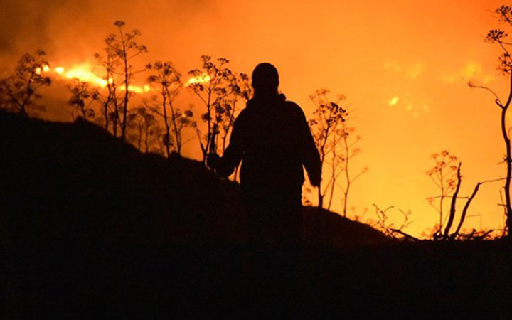 Bodrum'daki yangın saatlerdir söndürülemedi!