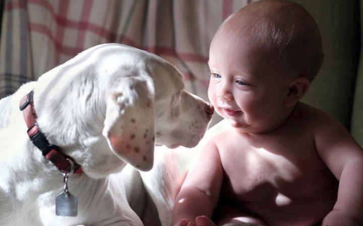 Dünya kalpleri ısıtan dostluğu konuşuyor