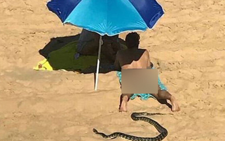 Bu fotoğrafın 1 saniye sonrası çok fena yılan geldi ve...