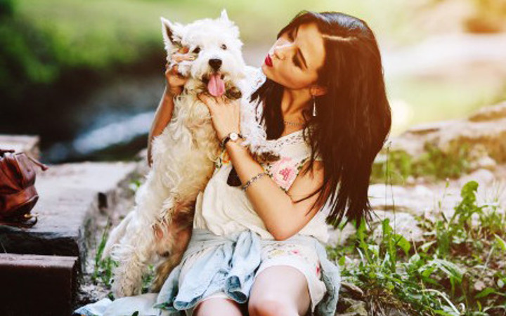 İnsanlar köpeklere daha çok şefkat besliyor