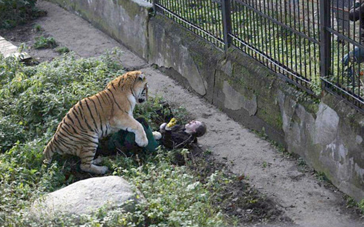 Görenlerin kanını dondurdu bir anda bakıcısının üstüne atladı ve...