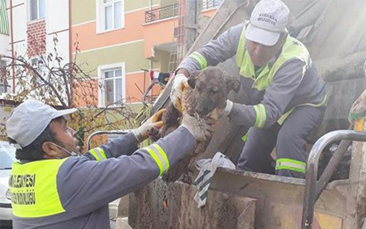İnsalıktan utandıran haber! Eğer fark edilmeseydi...