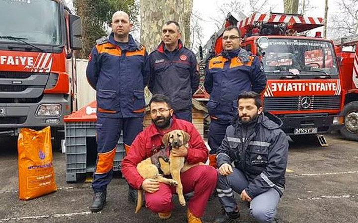 Kuyu köpeğe ne oldu karantinaya alındı iddiası