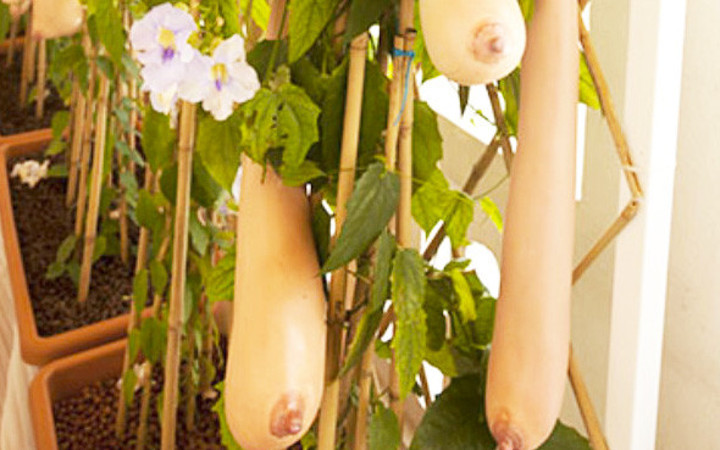 İnanılmaz ama gerçek! Bu gördüğünüz şey...