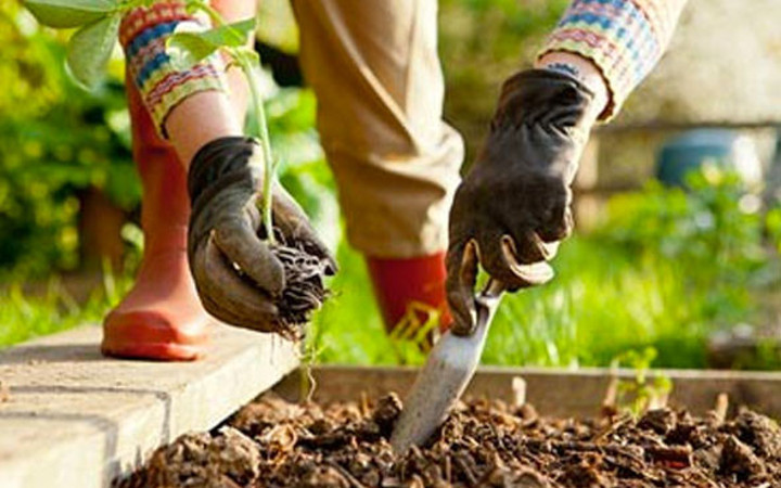 Bahçeye çiçek ekmek istedi toprağı kazdıkça öyle bir şey çıktı ki