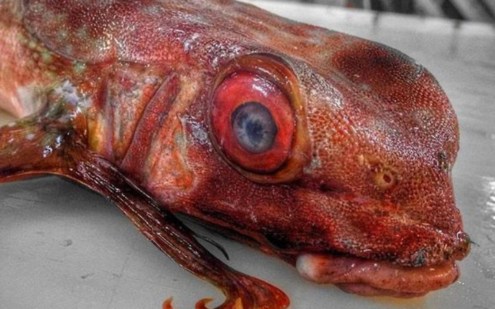 'Onunda bir güzelliği var' dedi ama görenler hayret etti!