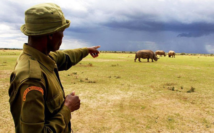 Onlardan dünyada sadece 3 tane var!