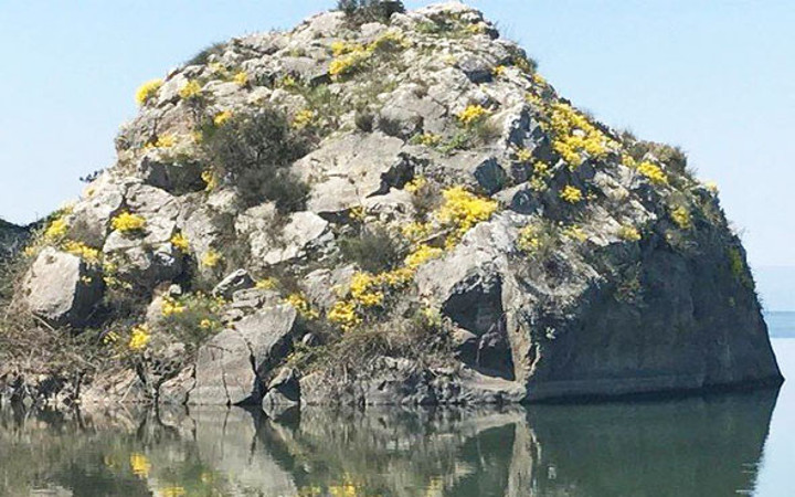 Sıradan bir kaya değil bir anda beliren görüntü...