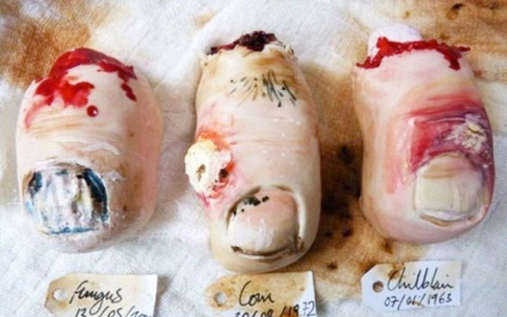 Bedava verseler sizde bunları yemek ister miydiniz? 