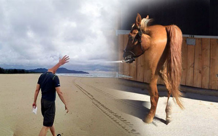 Bu kare montaj değil tamamen gerçek!