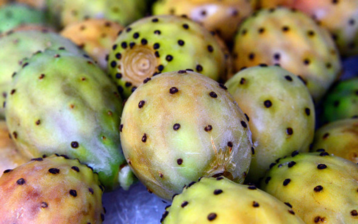 Aşırı sıcakta bununla serinliyorlar