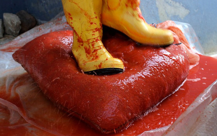 Her yıl aynı dönemde bir araya gelip bu işi yapıyorlar