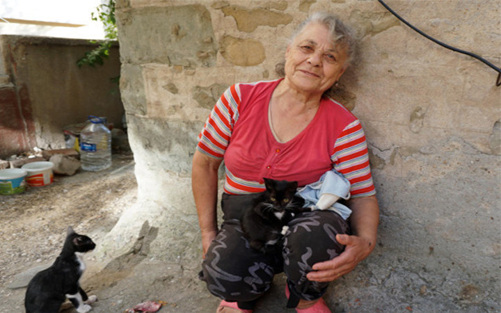 Emekli maaşıyla hasta oğlu ve 100 kediye bakıyor