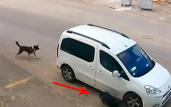 Yok böyle vicdansızlık! Bile bile...