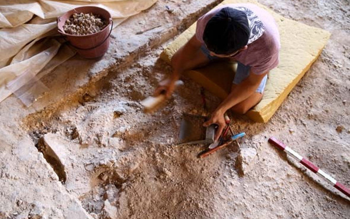 Anadolu'da ilk kez bulundu 350 bin yıl öncesine ait