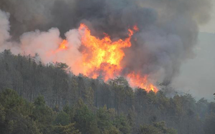 Kütahya'da orman yangını felaket havadan böyle görüntülendi