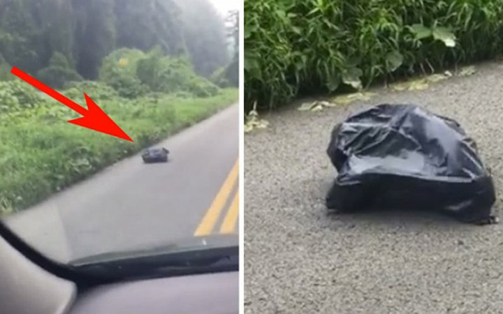 Karşısına çıkan poşetin hareket ettiğini gördü içini açınca şoke olacaksınız