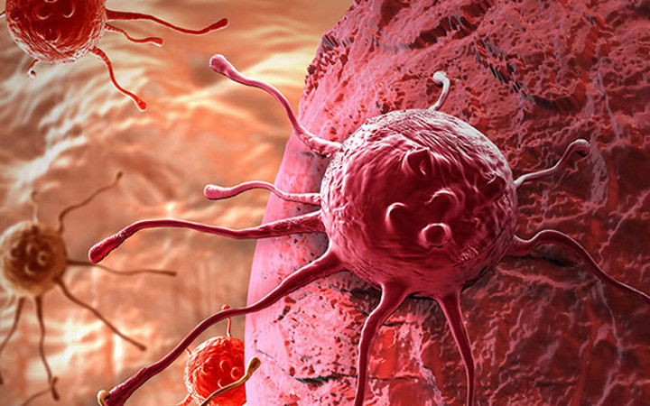 Kanser hücrelerini aç bırakarak yok ettiler