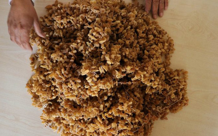 Erdoğan'ın içtiği Bucak salebi uçtu Bucak salebi nasıl yapılır