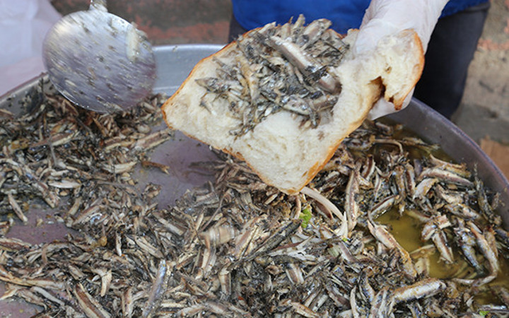 Ordu'da 'Hamsi Şenliği' düzenlendi