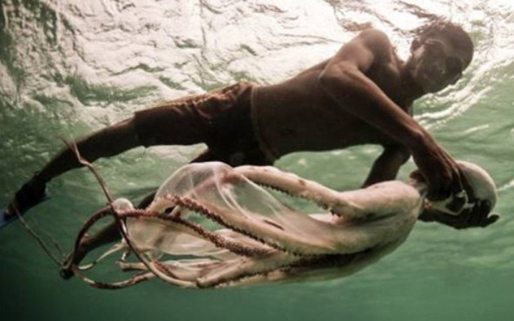 Bu insanlar denizde yaşıyor! Her gün yaptıkları inanılmaz