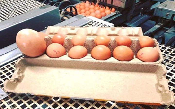 Böylesi ne görüldü ne duyuldu marketten aldığı devasa yumurtayı kırınca...