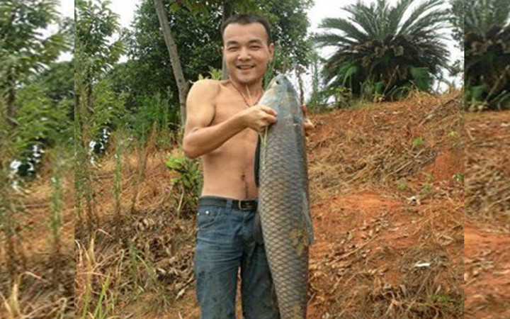 Bir balık yakaladı içinden öyle bir şey çıktı ki ağzınız açık kalacak