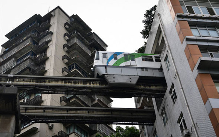 Bunu bir Karadenizliler bir de Çinliler yapabilirdi!...