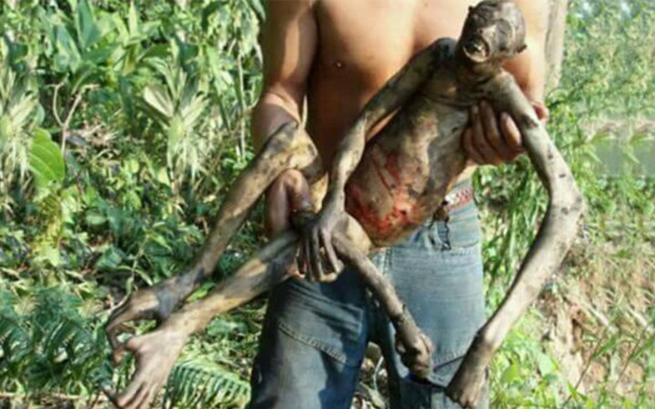 Üçüncü bir tür daha geliyor görenler tüm ayrıntılarıyla anlattı