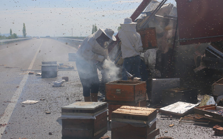 Bayburt'ta arı kovanı yüklü tır devrilince