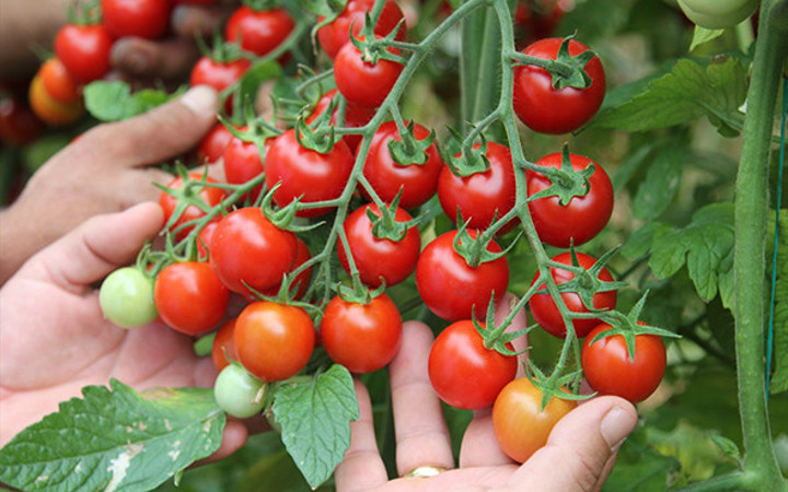 Bu besinler yedikçe mutlu ediyor!