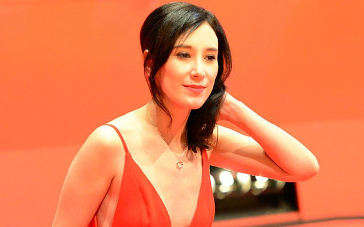 Türkler için fazla Almanım