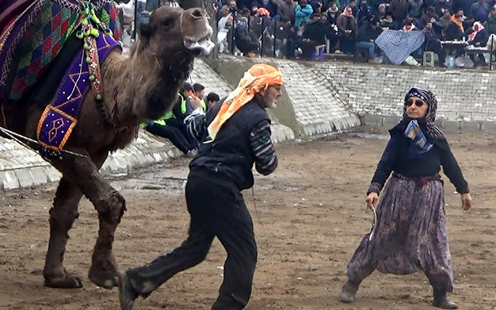 Herkes güreşi bıraktı: Onları izledi!