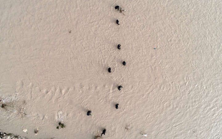 Antalya Buse Acar için seferber oldu! Olayda kahreden detay