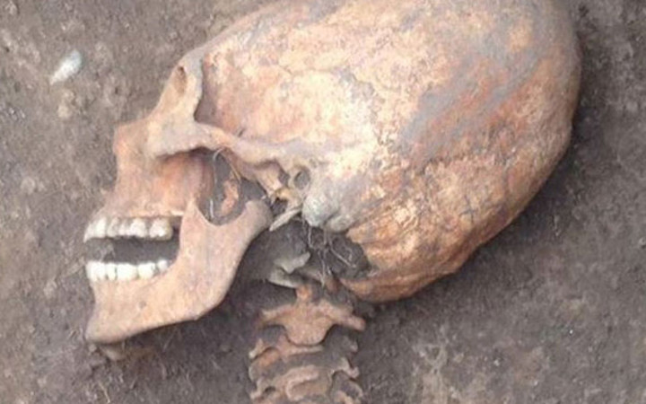 Rusya'da bulundu! Hollywood filmlerindeki uzaylılara benzetildi!