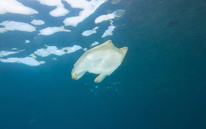 Poşetin ücretli olmasının çevreye Katkısı Nedir?
